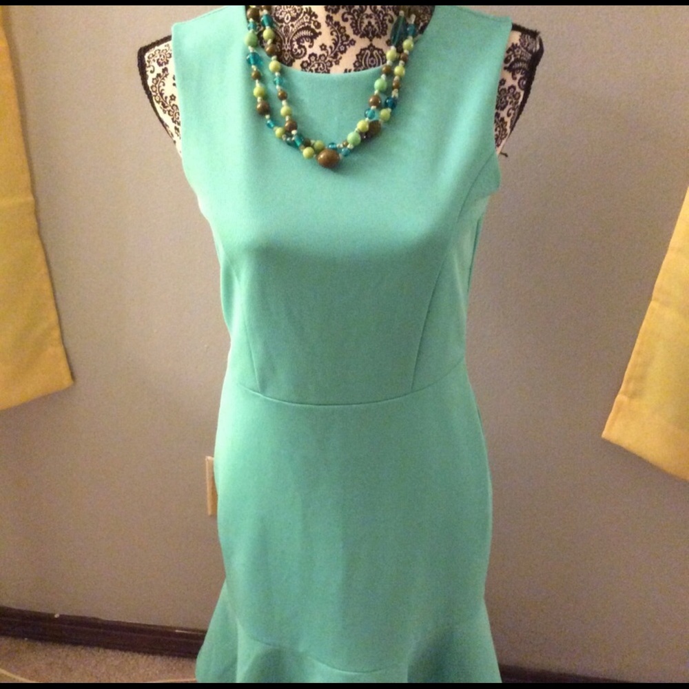 Size 2 the limited mint green dress